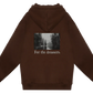 COMPASS 1 BROWN